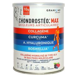 Granions Chondrosteo Max Collagene Pdr P/226G