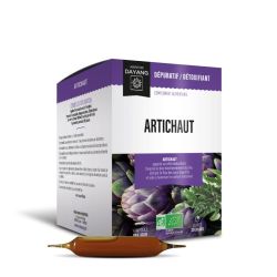 Dayang Bio Phyto Artichaut S Buv 20A/10Ml