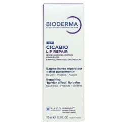 Bioderma Cicabio Lip Repair Bme T/10Ml