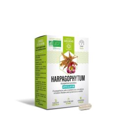 Dayang Phyto Harpagophytum Bio Gél B/15