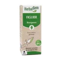 Herbalgem Figuier Macérat Bio Fl C-Gtt/30Ml