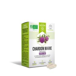 Dayang Phyto Chardon Marie Bio Gél B/30
