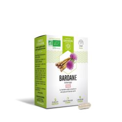 Dayang Phyto Bardane Bio Gél B/15