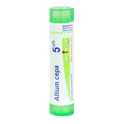 Allium Cepa 5Ch Tube granules Boiron