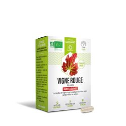 Dayang Phyto Vigne Rouge Bio Gél B/30