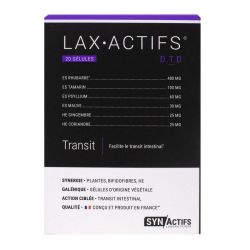 Synactifs Transitactifs Gél B/20