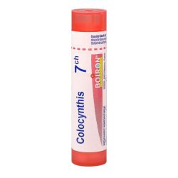 Colocynthis 7Ch Tg B