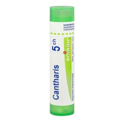 Cantharis 5Ch Tg B
