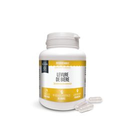 Dayang Levure De Bière Gél B/90