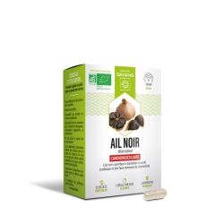 Dayang Phyto Ail Noir Bio Gél B/15