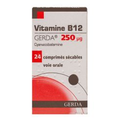 Vit B12 Gerda 250Μg Cpr Séc Fl/24