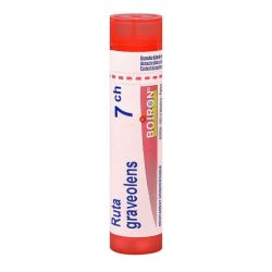 Ruta Graveolens 7Ch Tg B