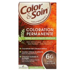 Color&Soin Kit Coloration Perm 6G Blond Fcé D