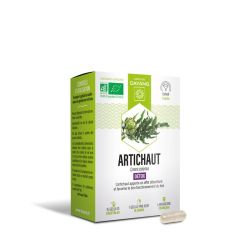 Dayang Phyto Artichaut Bio Gél B/15