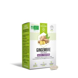 Dayang Phyto Gingembre Bio Gél B/15