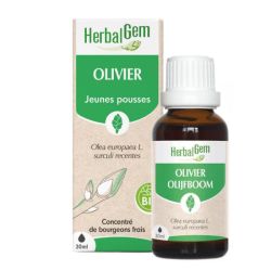 Herbalgem Olivier Macérat Bio Fl C-Gtt/30Ml