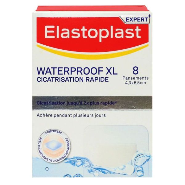 Elasto Watpxl Cic  Rappans B/8