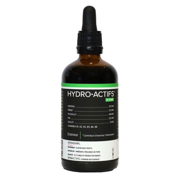 Synactifs Hydroactifs S Buv Fl/100Ml