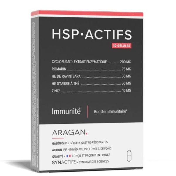 Synactifs Hspact Gél B/10
