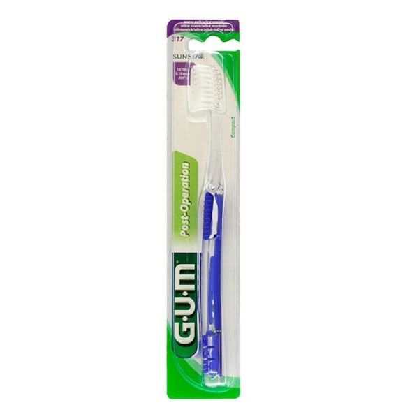 Gum Delicate Br Dents Chirurg